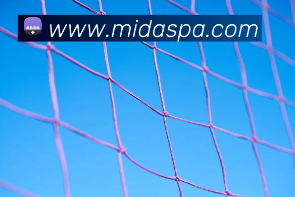 pa真人视讯APP 封面图